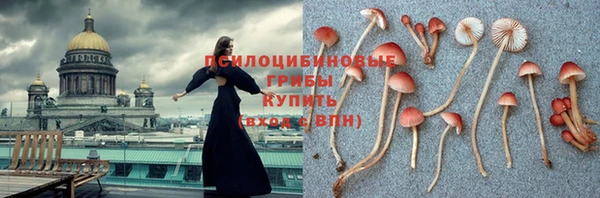 мяу мяу мука Балабаново
