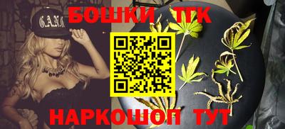 дмт Шелехов