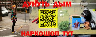 дмт Шелехов
