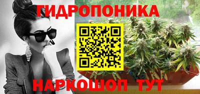 дмт Шелехов