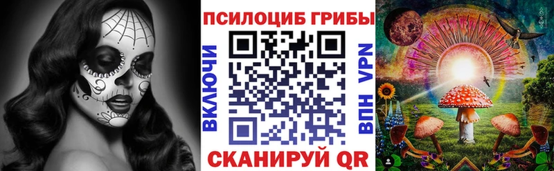 Псилоцибиновые грибы Magic Shrooms  Борисоглебск 