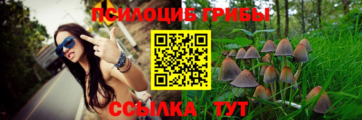 наркошоп  Псилоцибиновые грибы Cubensis  Вход с VPN  Галлюциногенные грибы Cubensis  Борисоглебск 