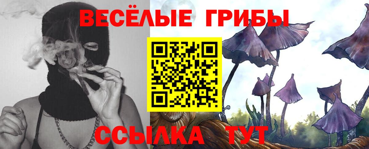 Галлюциногенные грибы Psilocybine cubensis Борисоглебск